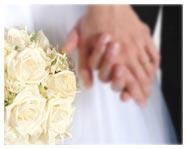 Wedding Consultation